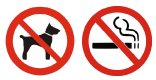 chien cigarette